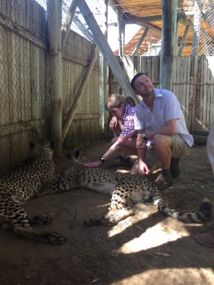 Adrian might be done with the cheetahs.